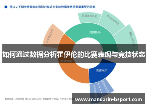 如何通过数据分析霍伊伦的比赛表现与竞技状态