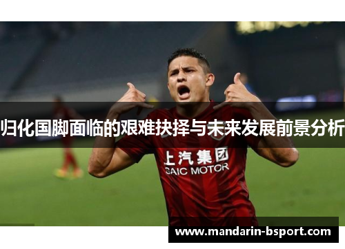 归化国脚面临的艰难抉择与未来发展前景分析