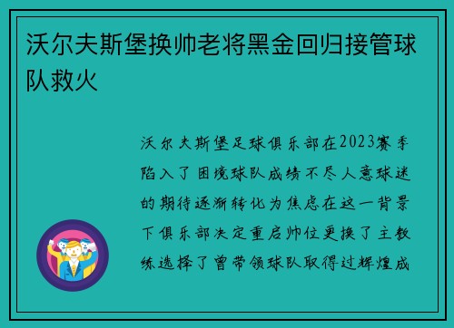 沃尔夫斯堡换帅老将黑金回归接管球队救火